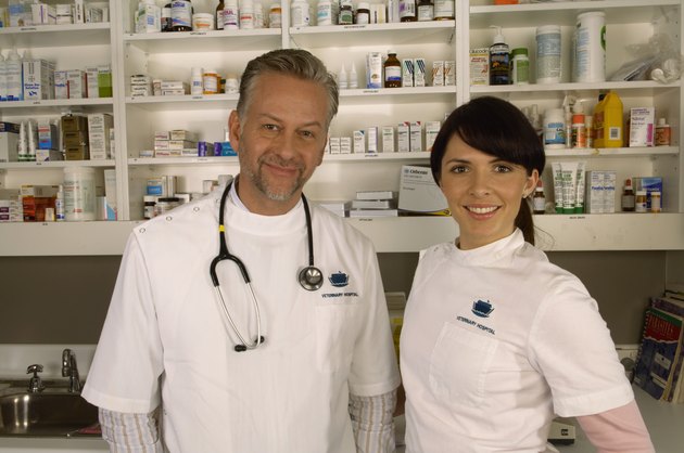 Male and female vets standing in surgery, smiling, portrait