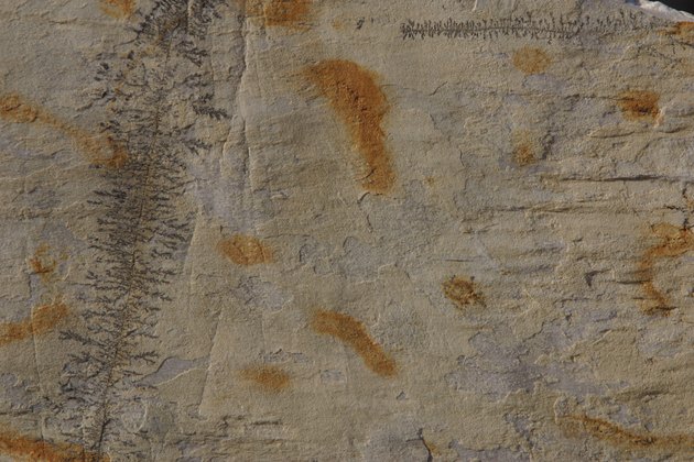 Texture of rock or concrete surface