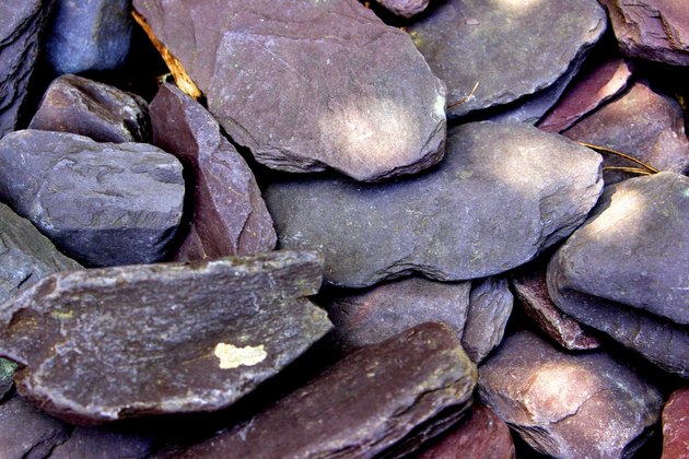 Close-up of purple slate paddle stone in dappled light