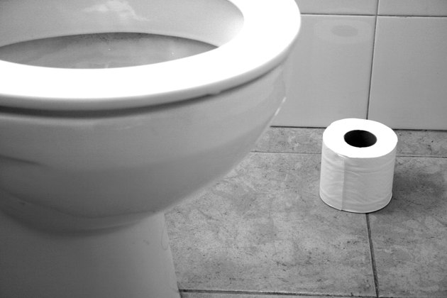 toilet