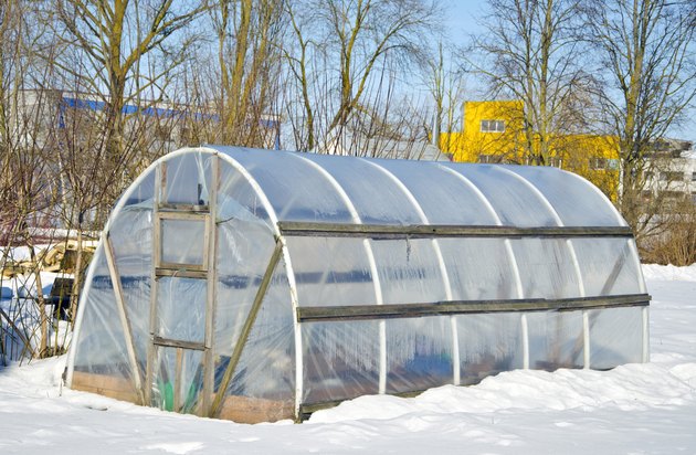 handmade polythene greenhouse for vegetable in winter on snow