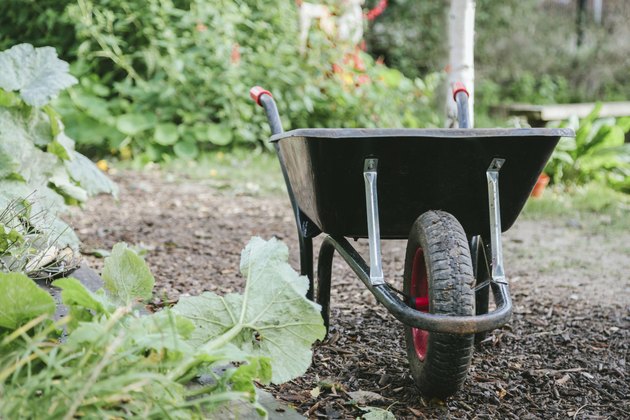 Wheelbarrow in an urban garden