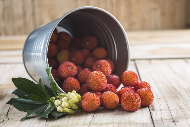 Bucket with ripe arbutus unedo fruits, leaves and flowers on a wooden background