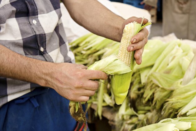 Fresh corn human hand peeling