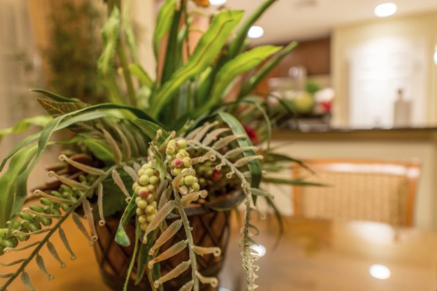 Silk Plant
