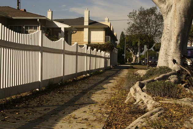 Suburban Sidewalk