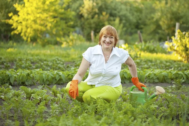 mature woman working in vegetable garden