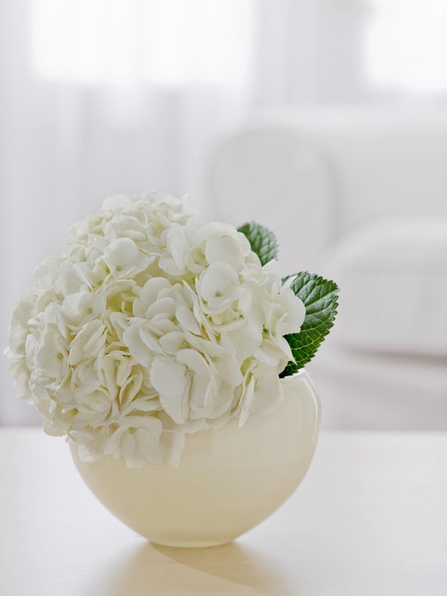 Flowers in vase