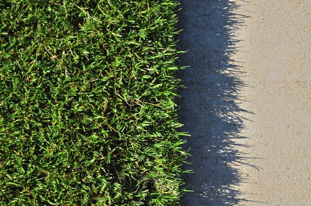Grass and Concrete