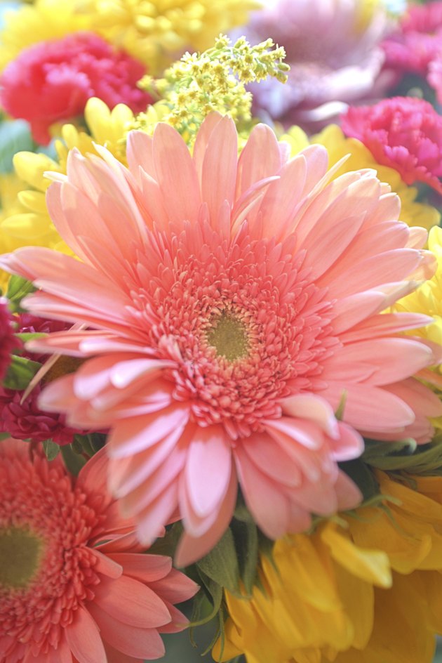 Close-up of flowers