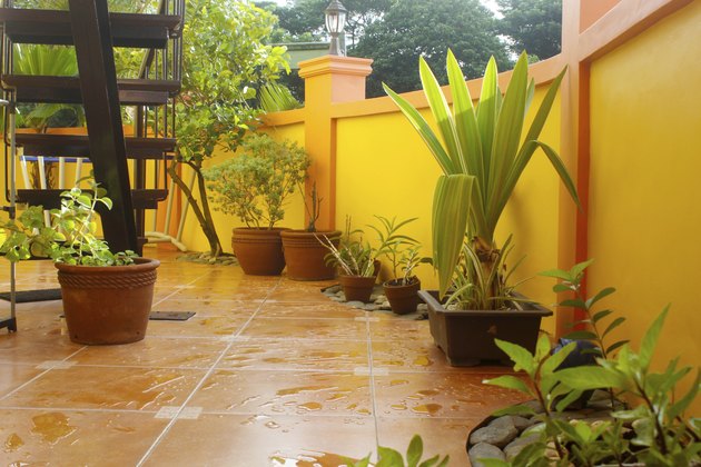 Wet Patio