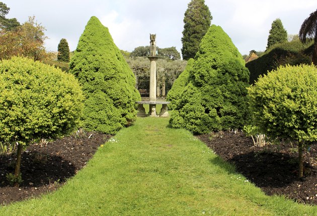 Image of formal garden with topiary trees, shrubs and sundial