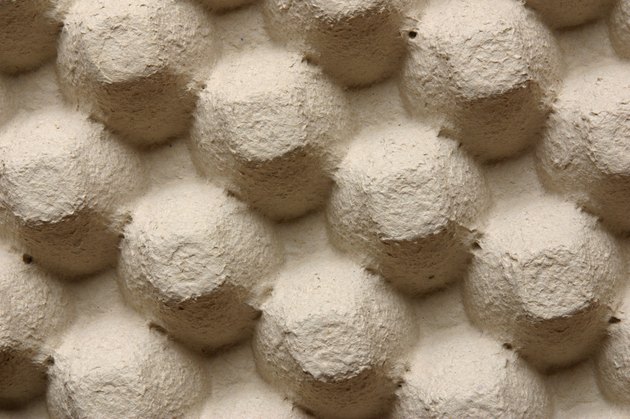 Underside of egg carton texture