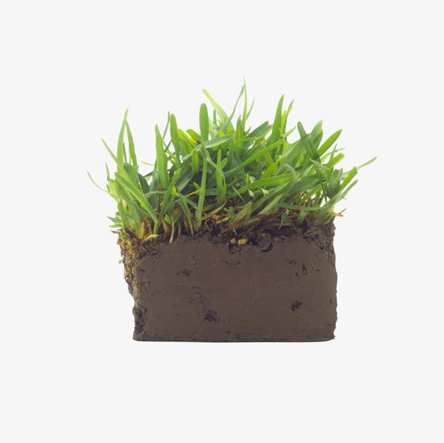 Earth with growing grass
