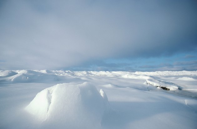 Arctic landscape