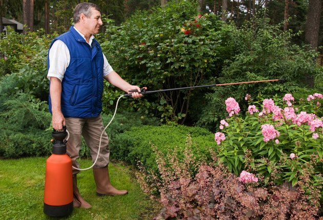 Senior man florist working in the garden