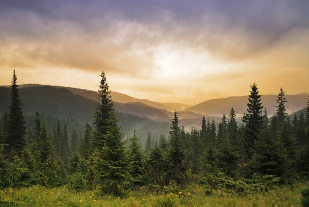 Landscape with fog