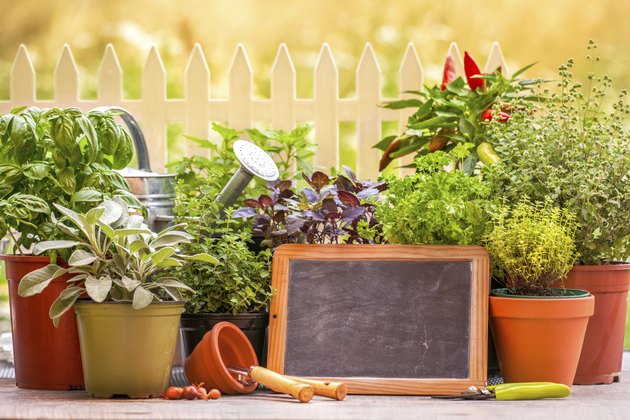 Herb garten