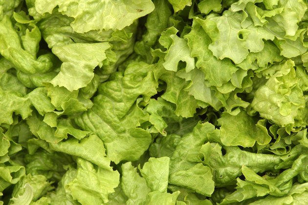 Lettuce texture