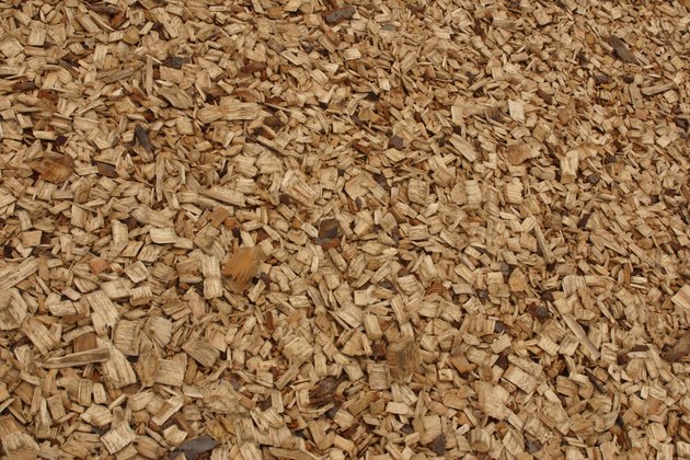 Close-up of wood chips