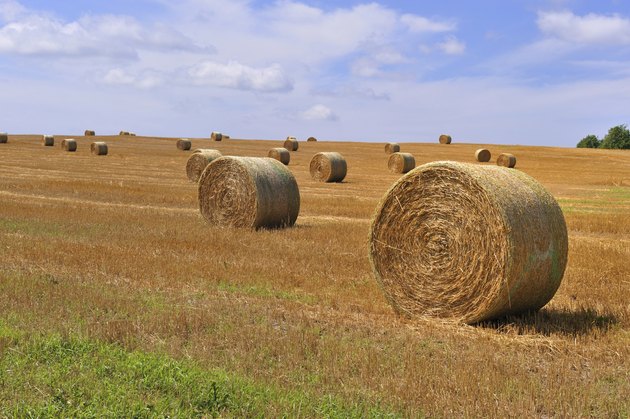 Bale of Straw