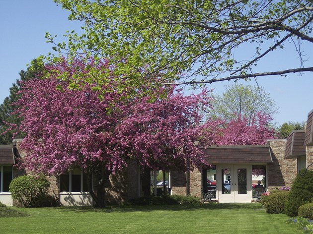 apartment building in spring