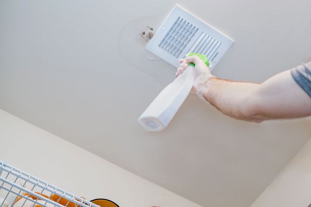 How To Clean Mold Off Of The Ceiling Hunker