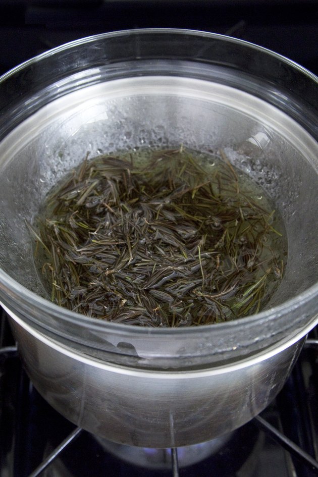 how-to-extract-oil-from-rosemary-hunker