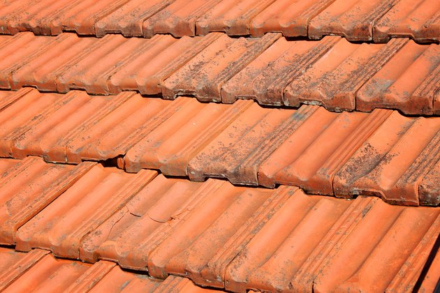 how-to-remove-lichen-from-roof-shingles-hunker