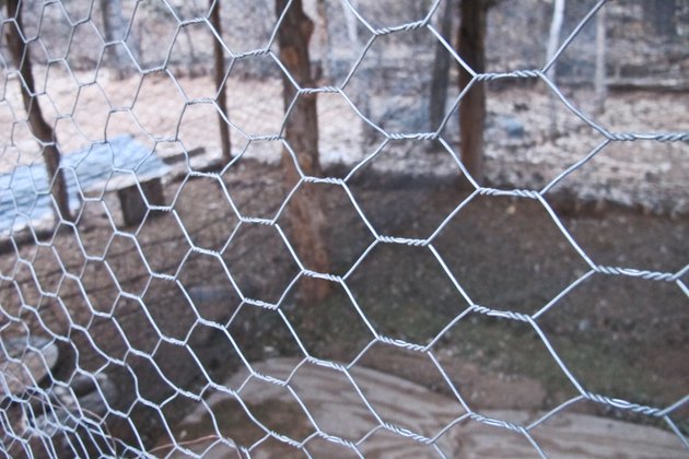 how to get rid of rabbits under sheds hunker