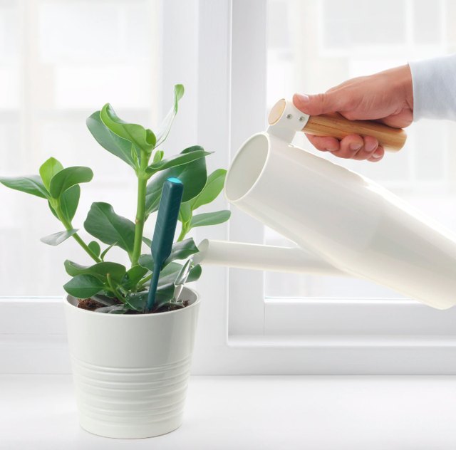 IKEA Has Just Launched a $5 Game-Changing Plant Accessory