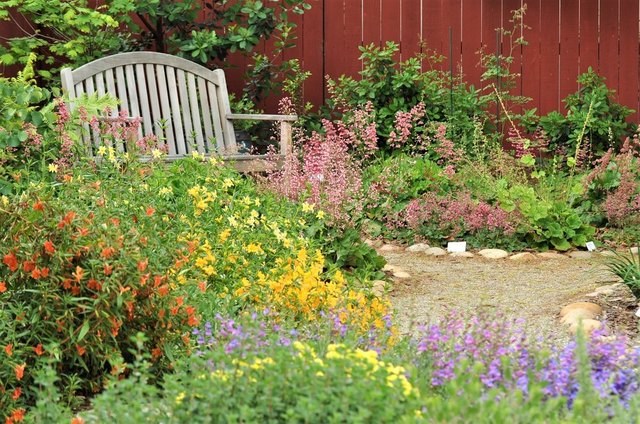 A Beginner's Guide to Wildflower Gardens