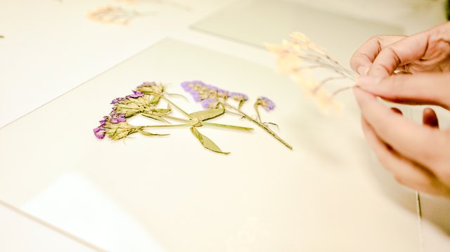 Framed Pressed Flowers DIY