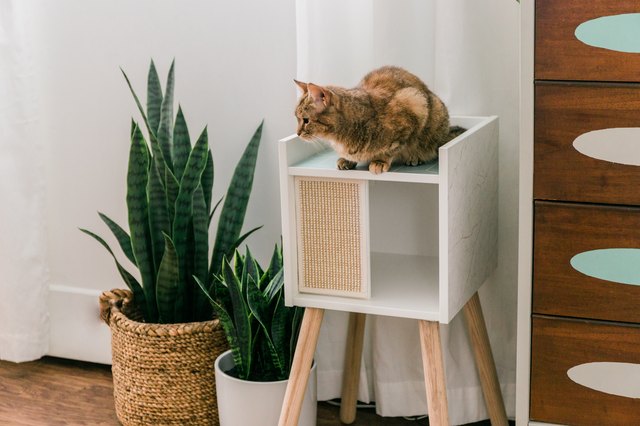 Ikea shop cat cave