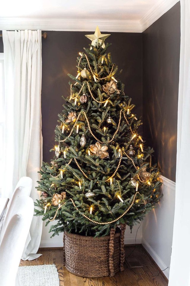 Everything you need for your best-ever Christmas tree