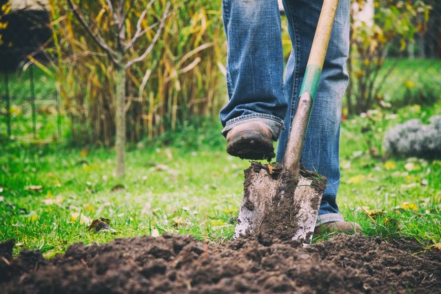 Dig Deeper Into Your Garden