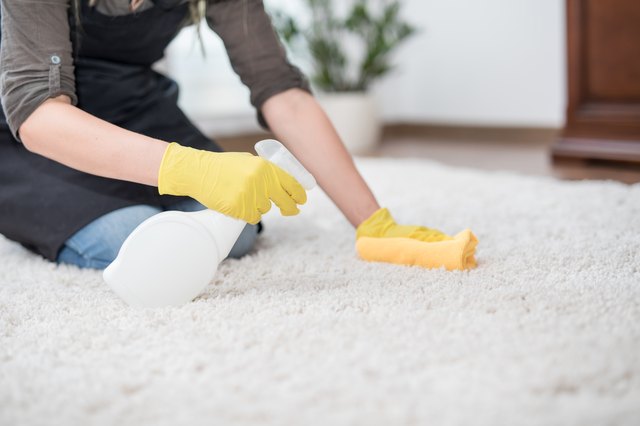 How to Get Rid of a Mildew Odor in Carpet | Hunker - How To Get Rid Of Mildew Smell In Carpet