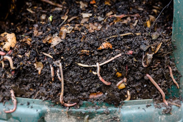 Composting in A Bucket - Uncle Jim's Guide