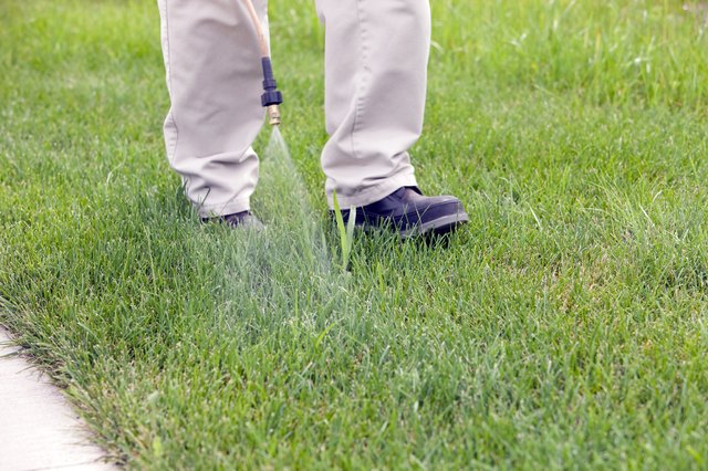 When to Apply Scotts Halts Crabgrass Preventer | Hunker