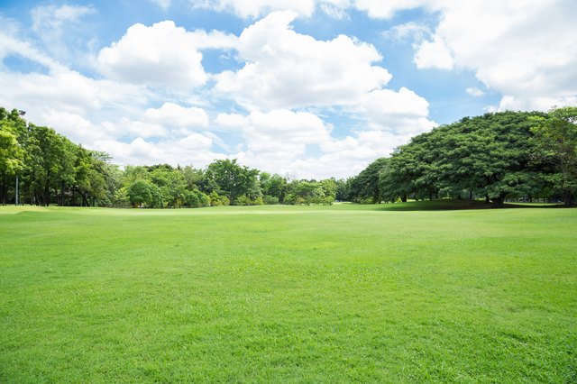 grass field park augustine care take photoshop hunker texas garden fields lawn getty maintenance shutterstock rumput istock dari artikel