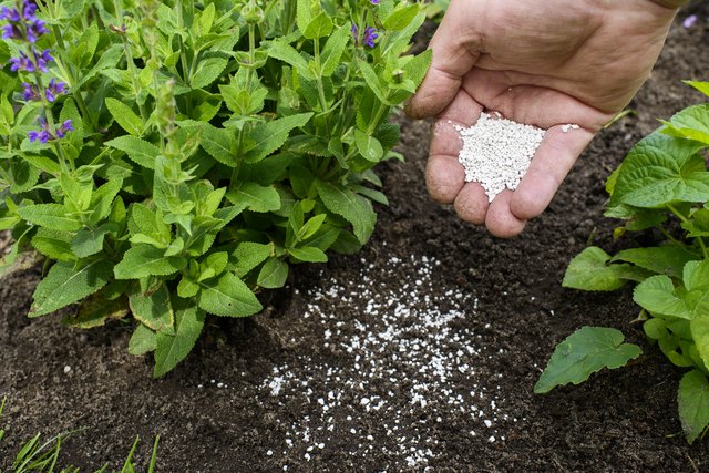 What Are The Examples Of Inorganic Fertilizer