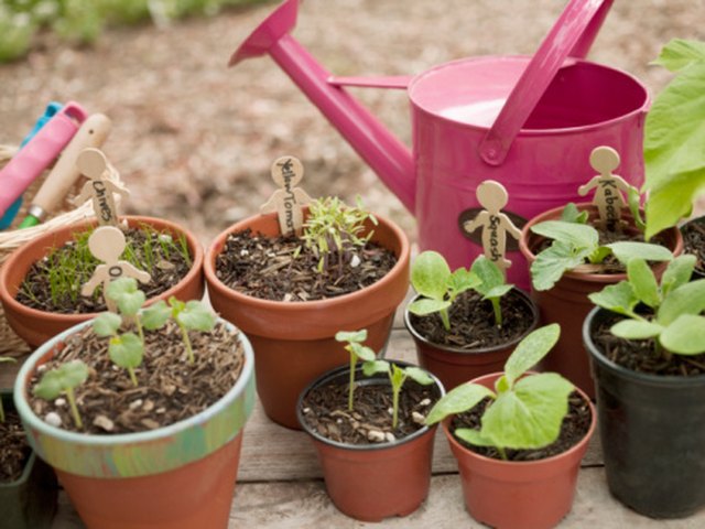 How to Keep Birds From Digging Up the Flower Pots on My Deck | Hunker