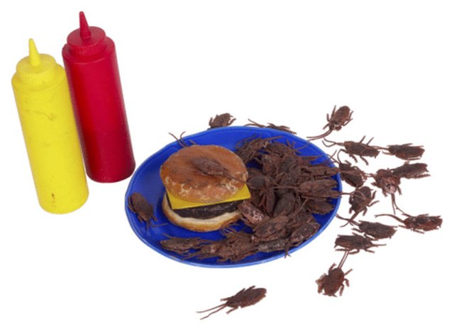 What Foods Most Attract Roaches | Hunker