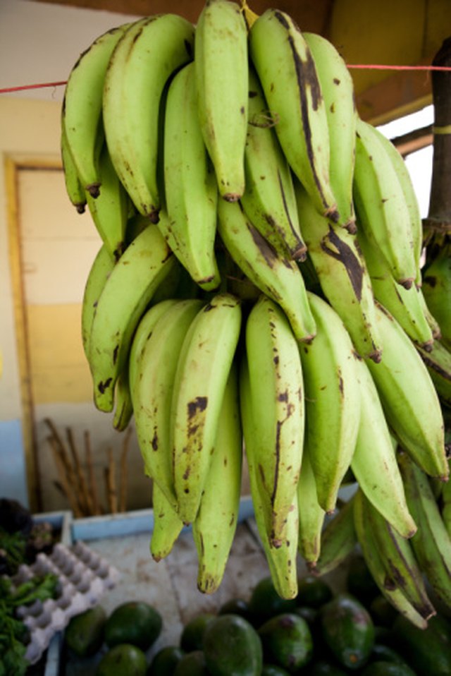 Is a Plantain a Fruit or a Vegetable? | Hunker