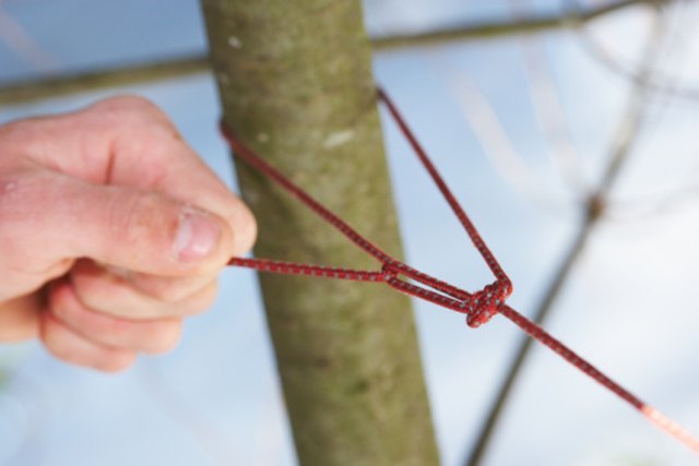 What Kind Of Rope For Clothesline