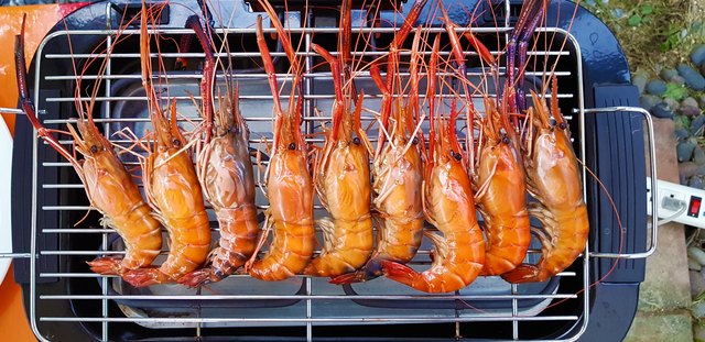 Seafood: Prawn/Shrimp being grilled on a Electric Grill