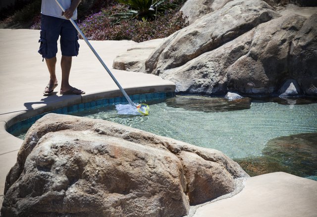 Young boy catching tadpoles in natural water hole with net and