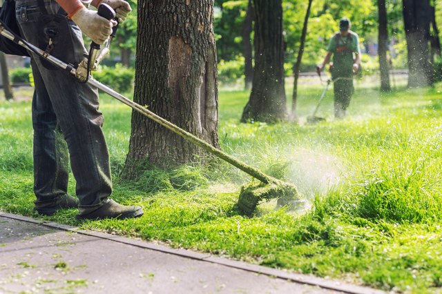 What to Do When a Weed Trimmer Will Not Stay Running | Hunker