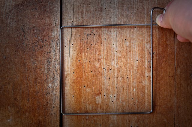 How to Get Rid of WoodBoring Beetles  Hunker