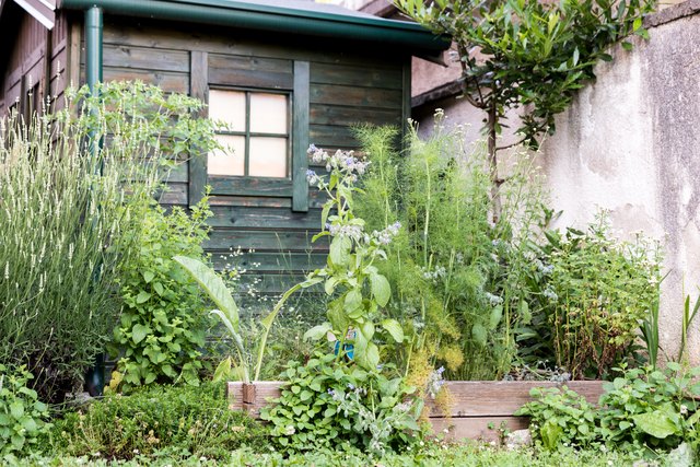 how-to-keep-mice-out-of-a-shed-hunker